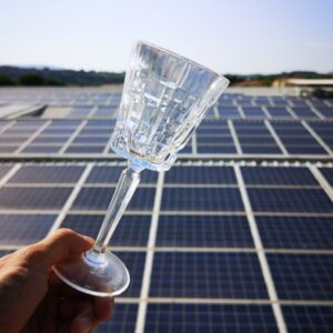 Alternative view of RCR Etna Calice Vino Rosso 28 cl (Confezione da 6)